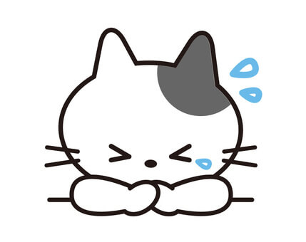 負けたくないねこ