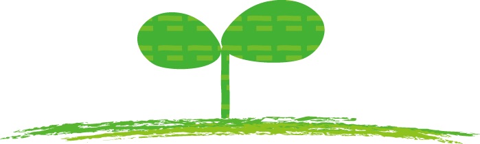 相模原のバレエ教室野沢きよみバレエスタジオー新しい芽