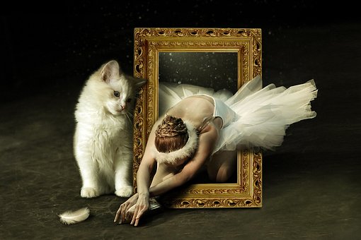 バレエダンサーと猫の素敵な関係